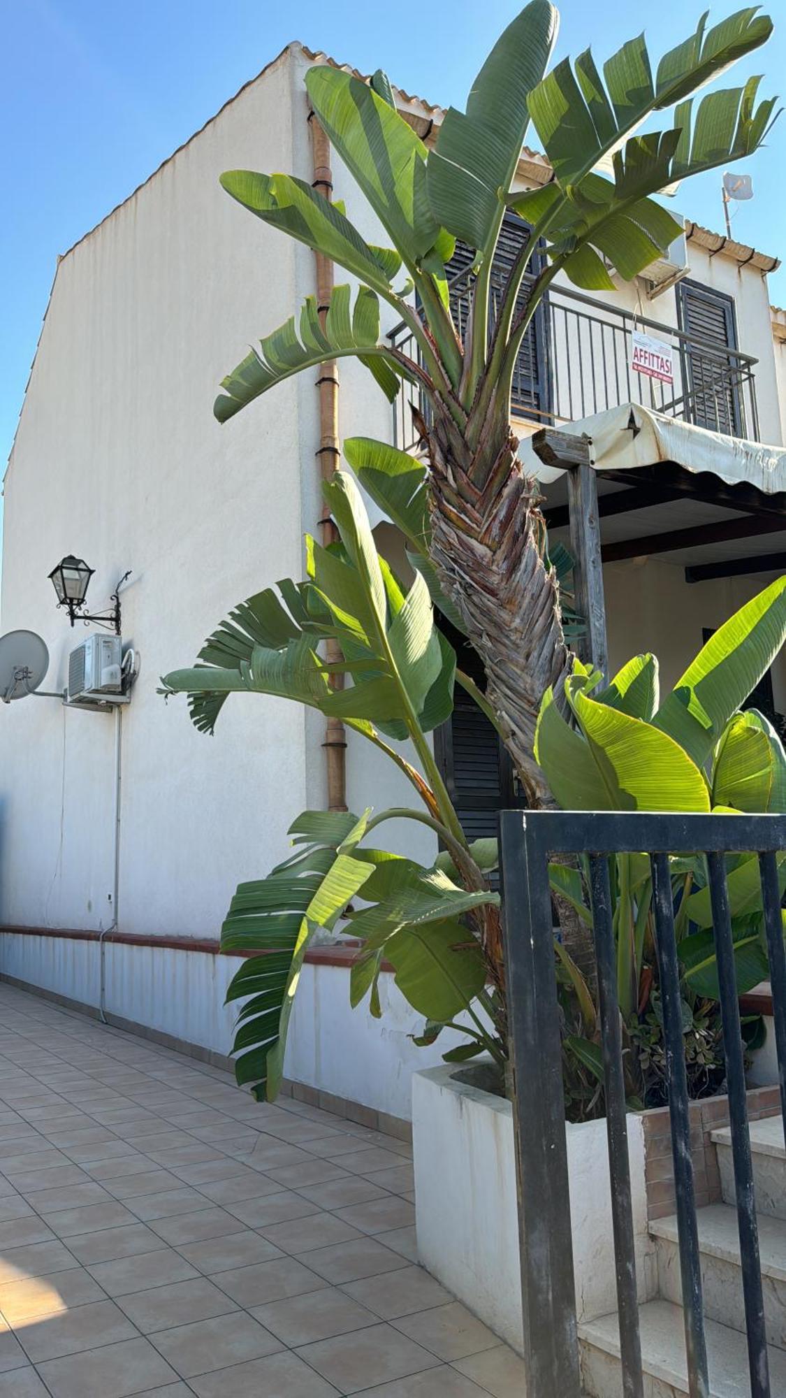 Villa A San Vito Lo Capo Minaudo Exteriör bild