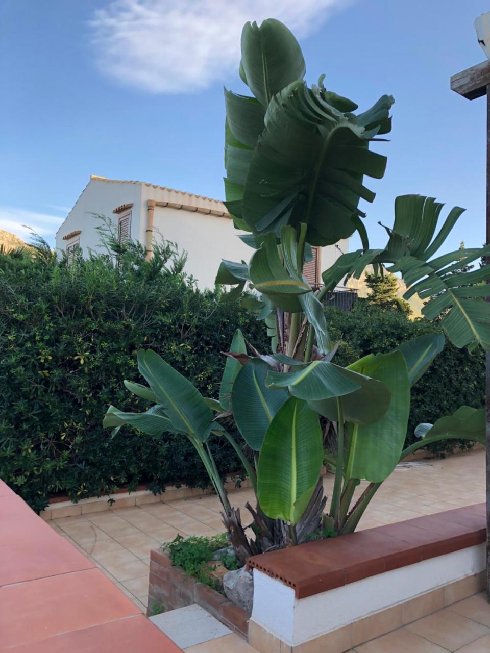 Villa A San Vito Lo Capo Minaudo Exteriör bild